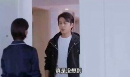 娱乐圈明星爆料故事有哪些,揭秘幕后故事与真相