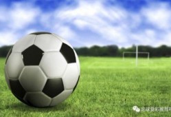 波兰足球爆料视频最新下载,揭秘赛场幕后风云