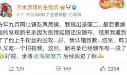 热点爆料是谁在审核视频,神秘力量揭秘视频审核幕后真相